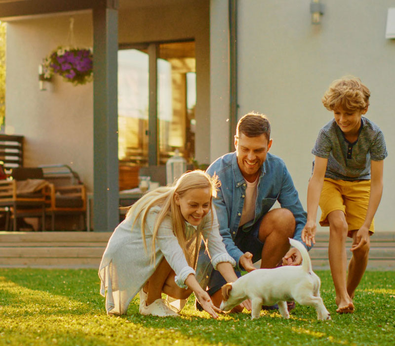 Home Insurance
