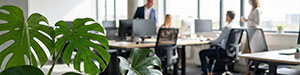 Employee Benefits Group Medical Vision and Dental Insurance